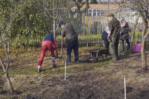 Individuals gardening in a local green space